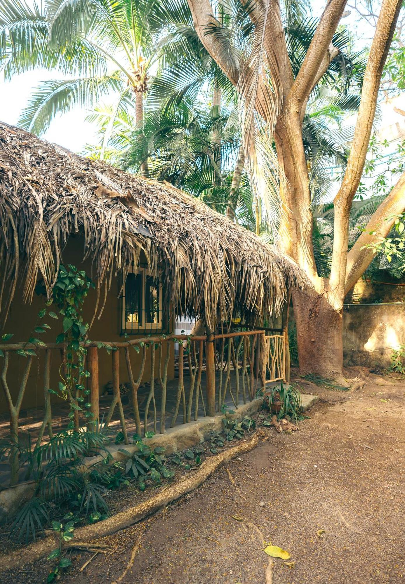 Junto Al Rio Bungalows & Suites Sayulita Luaran gambar