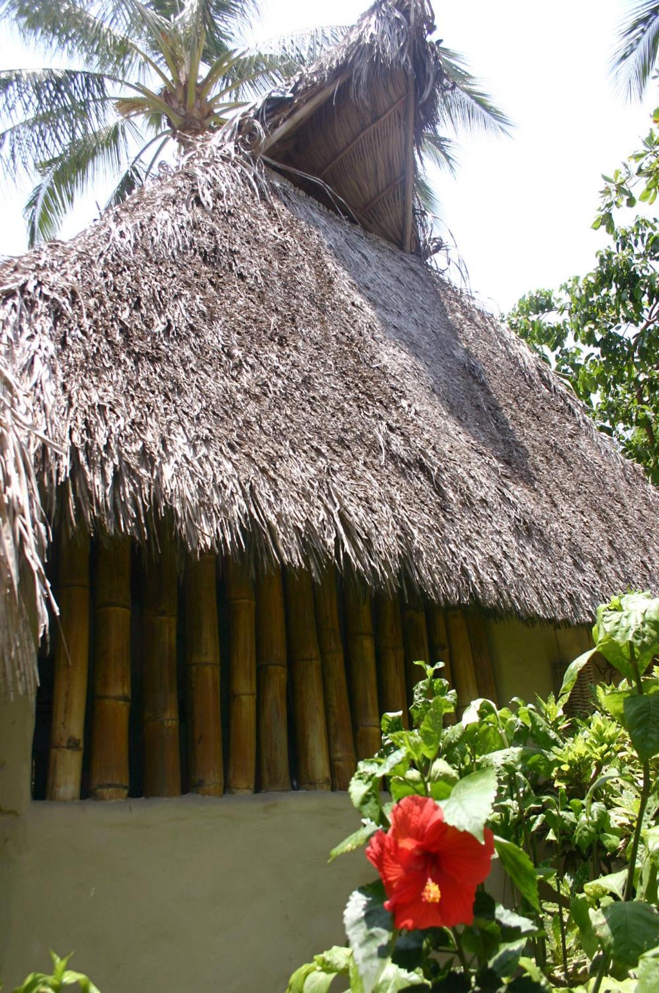Junto Al Rio Bungalows & Suites Sayulita Luaran gambar