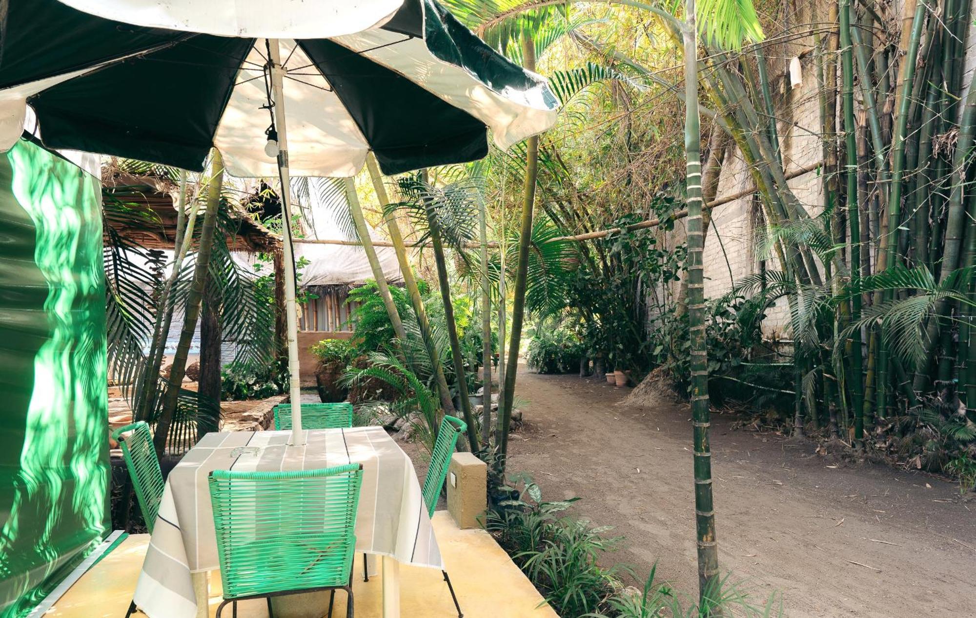 Junto Al Rio Bungalows & Suites Sayulita Luaran gambar