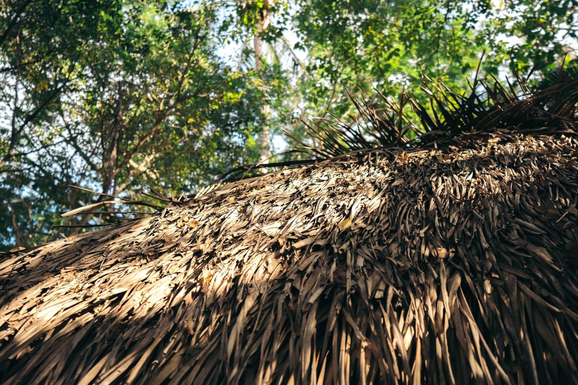 Junto Al Rio Bungalows & Suites Sayulita Luaran gambar