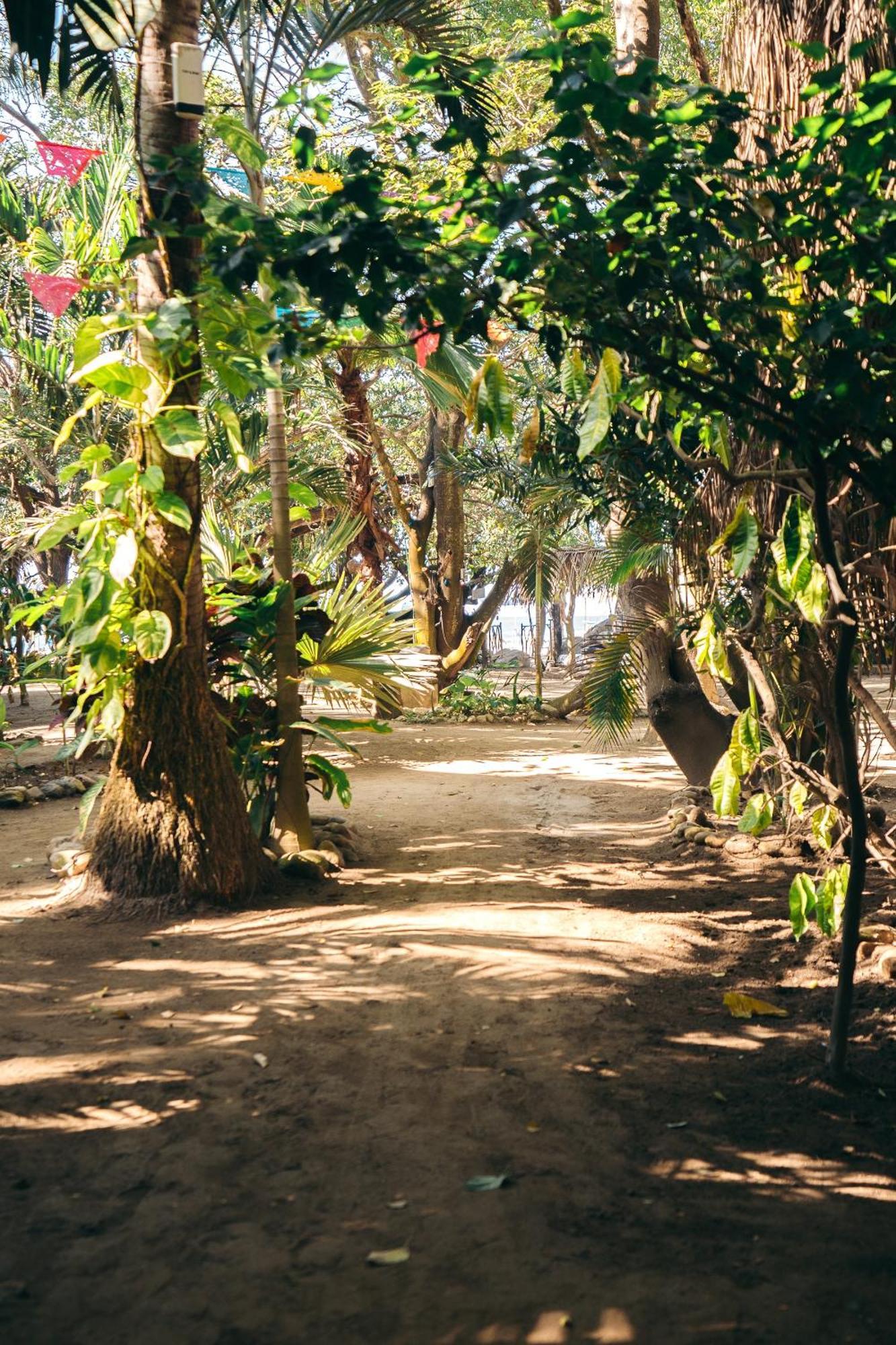 Junto Al Rio Bungalows & Suites Sayulita Luaran gambar