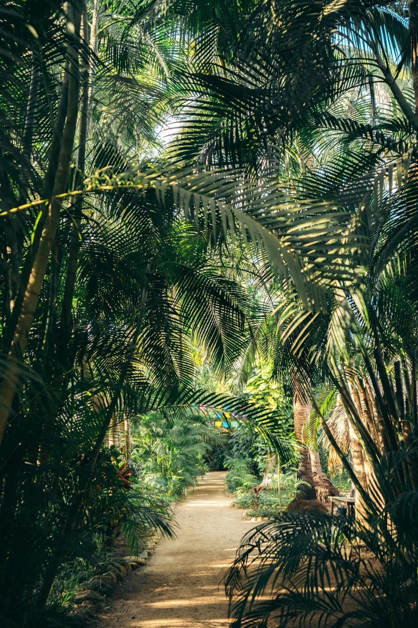 Junto Al Rio Bungalows & Suites Sayulita Luaran gambar