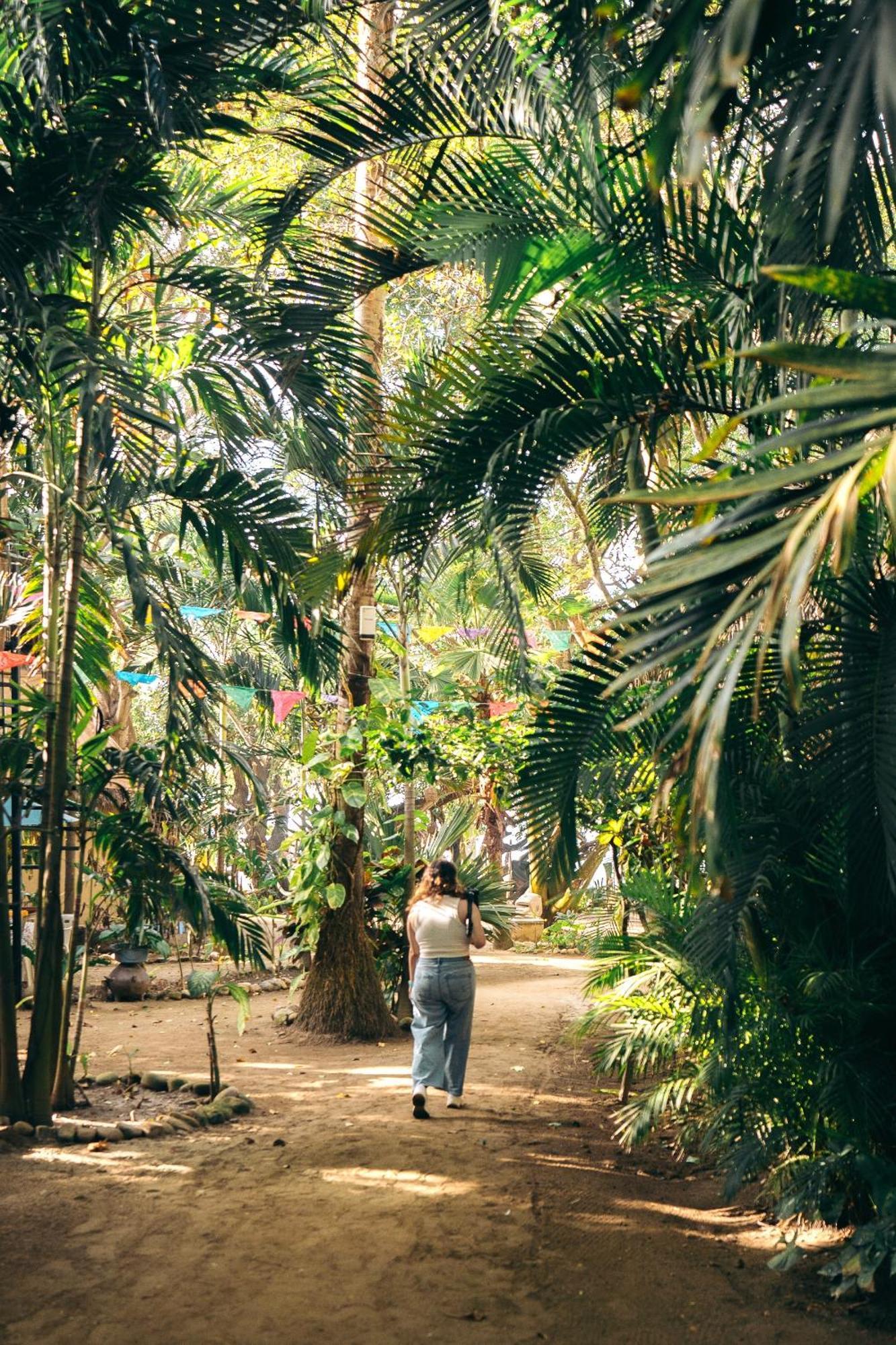 Junto Al Rio Bungalows & Suites Sayulita Luaran gambar
