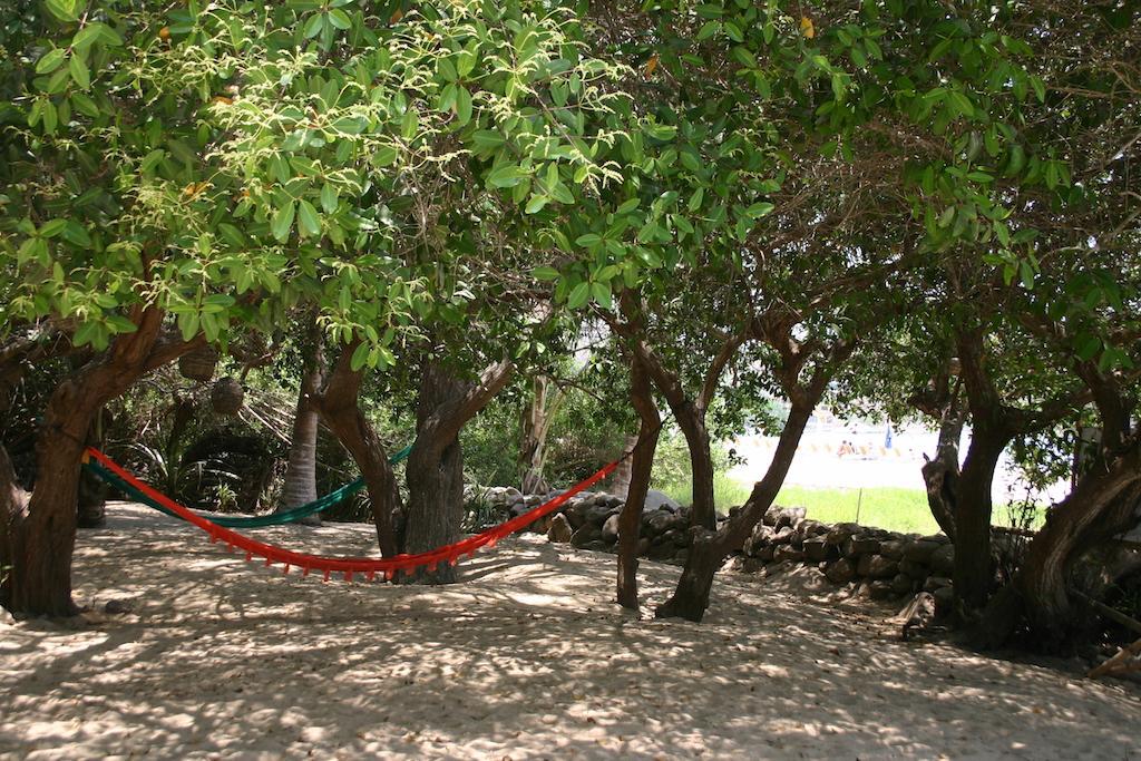 Junto Al Rio Bungalows & Suites Sayulita Luaran gambar
